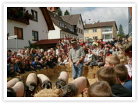 Sichelhenket Roßfeld